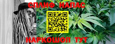 spice Кунгур